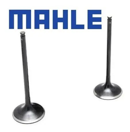 Valvulas  Admision Y Escape Mahle Ybr 125 Yamaha *