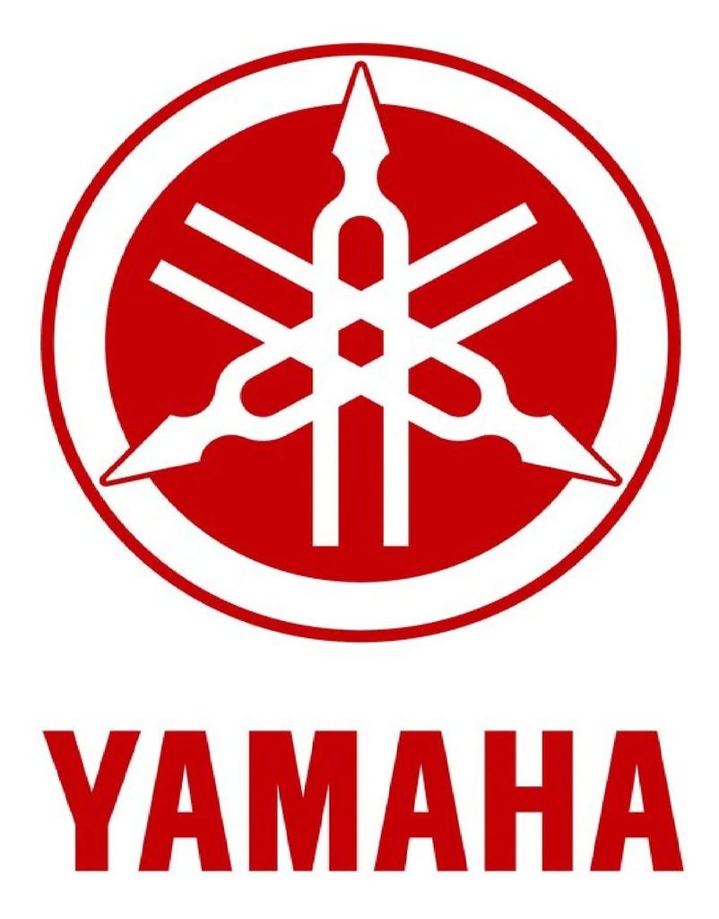 Palanca Pedal Cambio Yamaha Fz 25 250 Original Rpm®