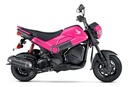 Estator Honda Navi 110 Original Honda 12 Bobinas Rpm