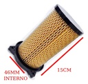 Filtro De Aire Cilindrico Motomel Xmm 250 Rpm