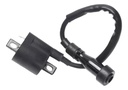 Bobina De Ignición Para  Yamaha Fz 16 Competicion Rpm