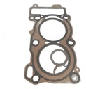 Junta C/cilindro Benelli Tnt 300 Calidad Original Rpm