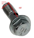 Tornillo Vena Aceite X2 Honda Tornado- Twister Rpm