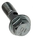 Tornillo Vena Aceite X2 Honda Tornado- Twister Rpm