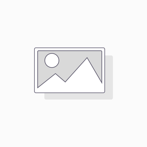 Burro De Arranque Bajaj Rouser 200 Ns - Rpm