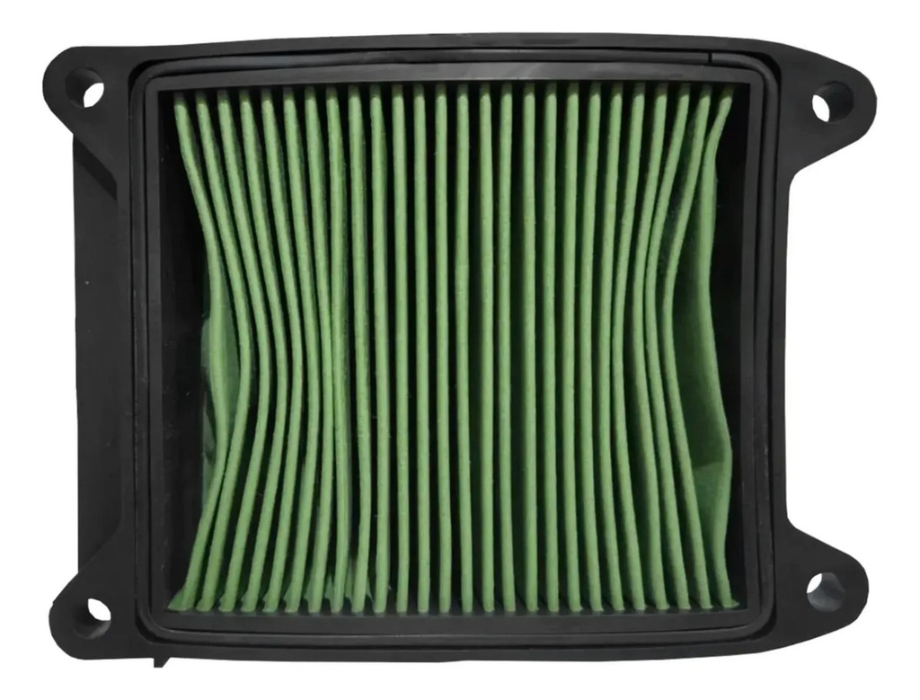 Filtro de Aire Ridex Bajaj Rouser N 250 / P 150