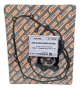 Juego De Juntas Bajaj Rouser Ns 150  57.0mm Rpm