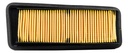 Filtro Aire Hero Xpulse 200 Calidad Original Rpm