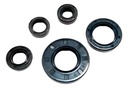 Kit de Retenes de Motor con Retenes de Valvula Yamaha YBR 125