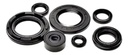 Kit de Retenes de Motor Suzuki AX 100
