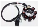Estator Bobinado ES096 Panther 200