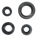 Reten Retenes De Motor Bajaj Rouser 135 Calidad Original