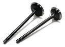 Kit valvulas zanella rx Skua  150 Storm Cg 150 S2 Varillero 