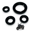 Juego Retenes Motor Yamaha Fz Fi 2.0 Motexo India