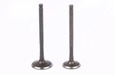 Juego Valvulas P/ M Skua250 Full Ad 31,5x89,7 Es 27x89