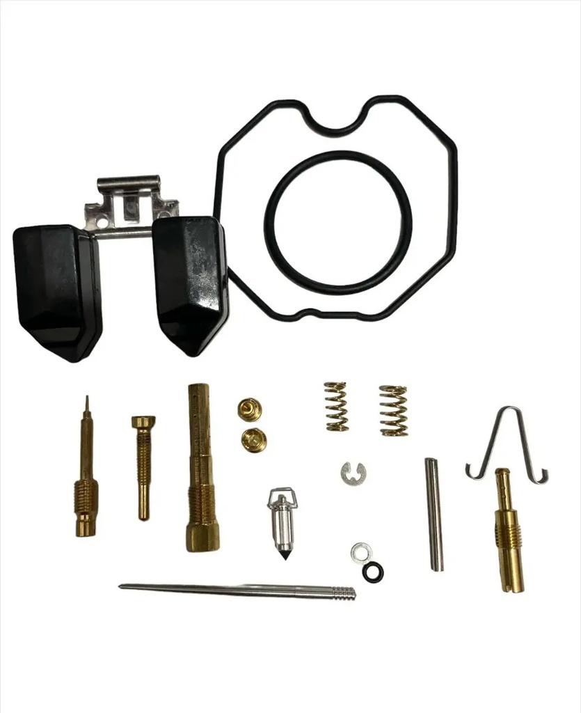 Kit de Reparacion de Carburador con Flotante Motomel Skua 250