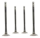 Kit Valvula De Admision  Rouser Ns 200 Rpm