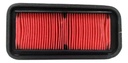 Filtro De  Aire Yamaha Fz 25 Fz 250 Calidad Original Rpm