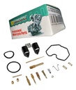 Kit Reparacion Carburador Motores 250cc W Standard