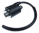 Bobina De Ignicion  Yamaha Ys 250 Xtz 250  Rpm