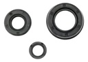 Kit Retenes De Motor Honda Tornado Cbx 250 Twister Rpm