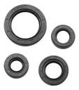 Kit Retenes De Motor Zanella Sapucai 150 Rpm