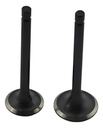 Kit Valvulas Escape / Admision Gilera Super 125 Rpm