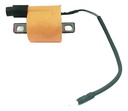 Bobina Ignicion Encendido Completa Honda Cg Titan 150 Rpm