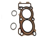 Junta C/cilindro Benelli Tnt 300 Calidad Original Rpm