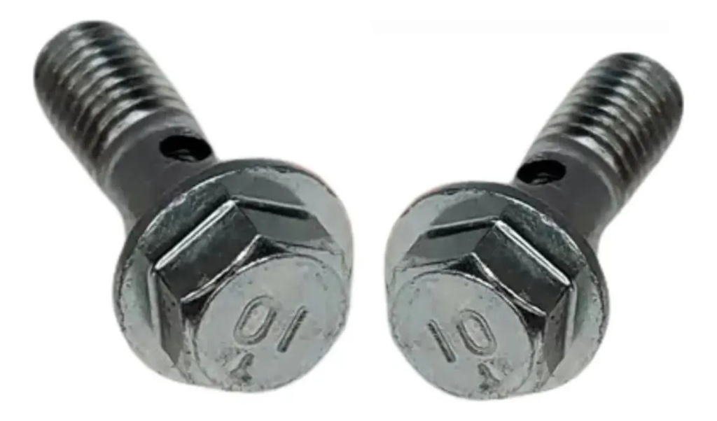 Tornillo de Vena de Aceite (x2) Honda XR 250 Tornado CBX 250 Twister