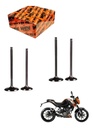 Kit de Válvulas de Admisión y Escape KTM Duke 200