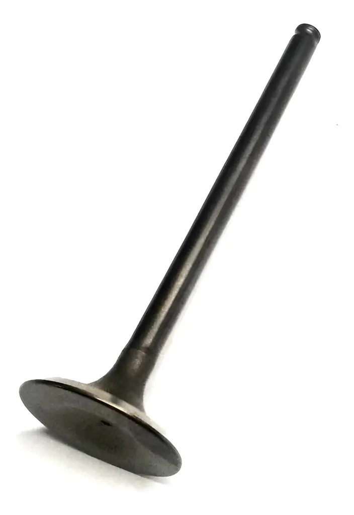 Valvula De Admision Mahle Moto Honda Titan 150 Rpm