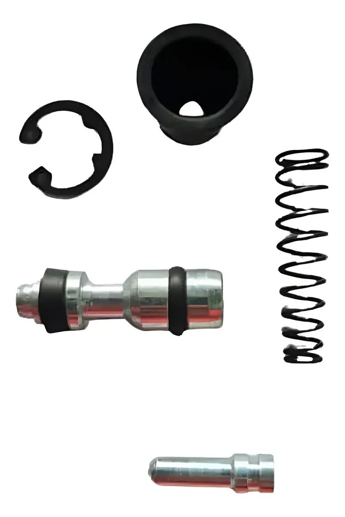 Reparacion Bomba De Freno Delantero Bajaj Rouser 135 Ns 200 Amarillo