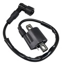 Bobina Alta Ignicion Zanella Zr 150 200 Rpm
