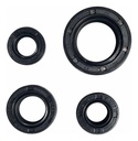 Kit Juego Retenes Motor Honda Cb New 250 Rpm